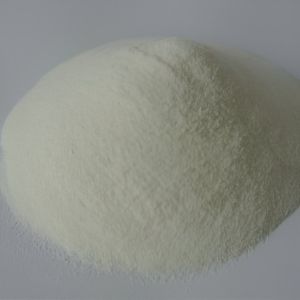 MCT oil powder