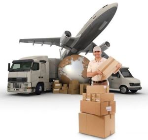 cargo transportation service