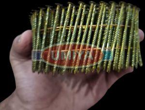 15 cm Screw Type Coil Nails