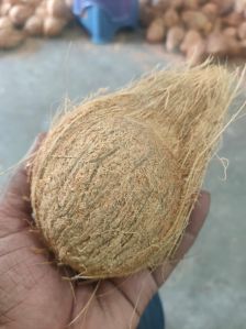 Fresh Indian Coconuts