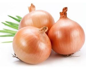 Fresh Brown Onion