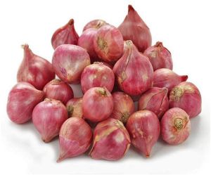 Shallots Onion