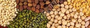 Indian Pulses