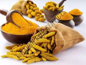 erode turmeric powder