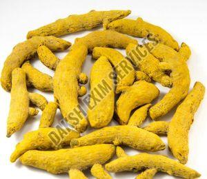 Nizamabad Turmeric Finger