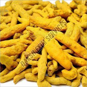 Sangli Turmeric Finger