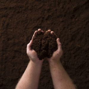 coir pith manure