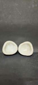 Dried Coconut Two Halves