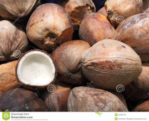 Fresh Husked Mature Coconut