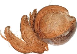 Fresh Husked Mature Coconut