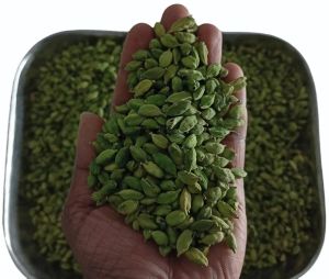 Green Cardamom