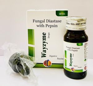 fungal diastase pepsin wayzyme syrups