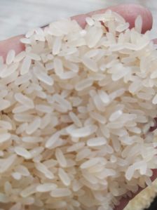 RICE ANY GRADE