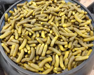 Pickled gherkins 1-4 cm