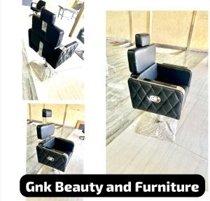 Salon Hydraulic Chair