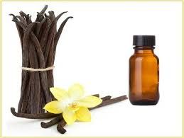 Vanilla Oil