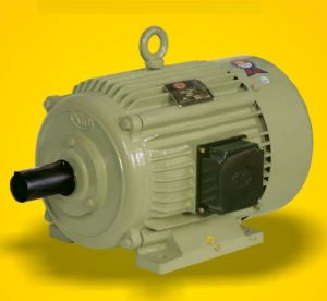 industrial electric motor