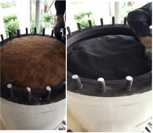 Carbon Molecular Sieves