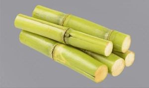 fresh sugarcane