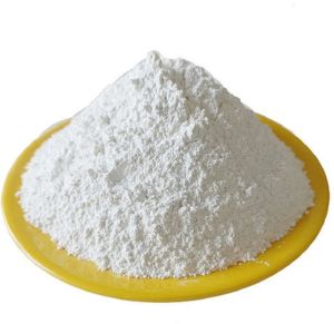 Citicoline Sodium Powder