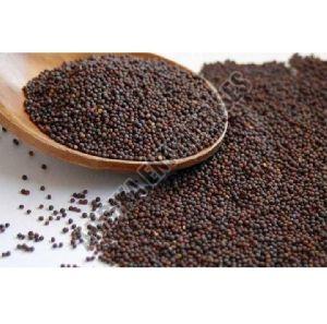 Mustard seeds