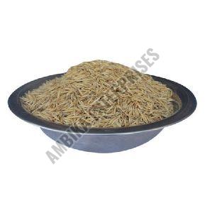 Oats Seeds