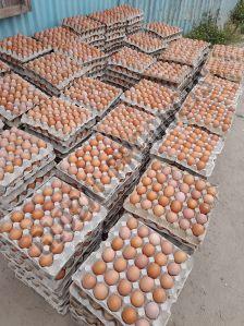 Fresh Healthy Brown Table Eggs