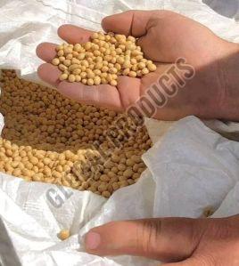 Organic Non GMO Soybean Seeds