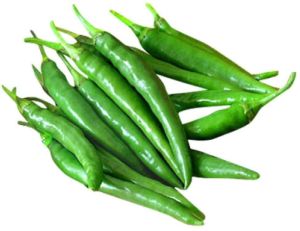 Fresh Green Chilli