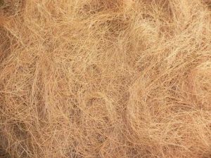 Coconut Coir Fiber