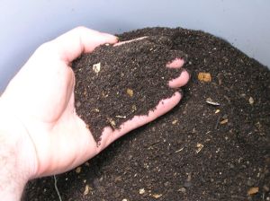 Vermicompost Fertilizer