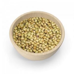 Coriander Seeds