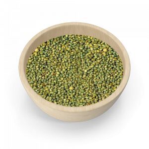 Green Millet Seeds