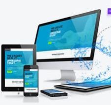 custom website design service