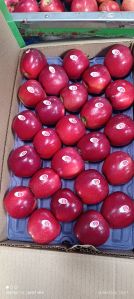 fresh kashmiri apples