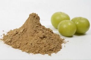 Dehydrated Amla Powder