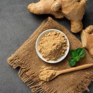 Dehydrated Ginger Powder