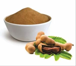 Dehydrated Tamarind Powder