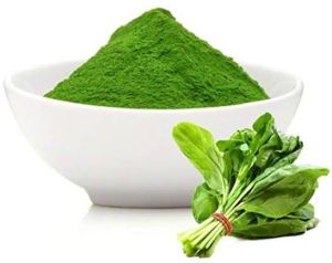 Spray Dried Spinach Powder