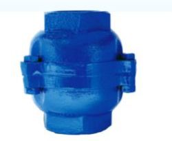 Screwed End Cast Iron Check Valve