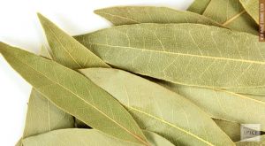 Dried Bay Leaves