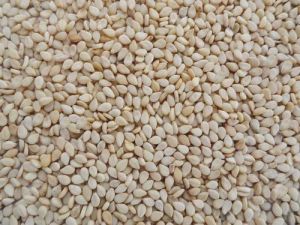 white sesame seeds