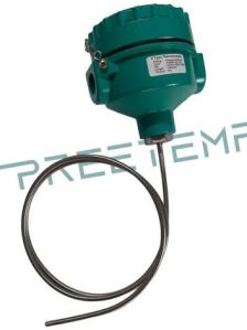 Flameproof PT100 Rtd Sensor