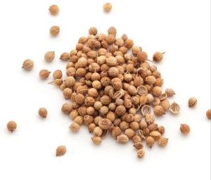 Brown Coriander Seeds