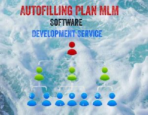 MLM Software Development