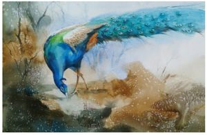 Beautiful Peacock & Watercolor Painting