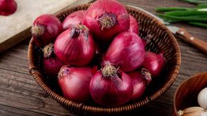 Onion