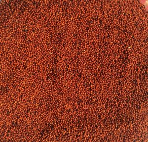 Red Millet Seeds