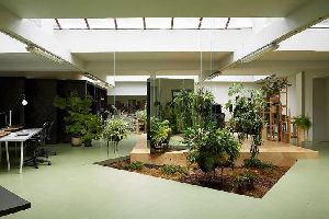 indoor gardening