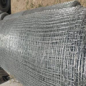 Galvanized Iron Poultry Chain Link Mesh